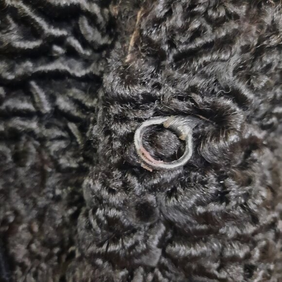 Vintage Black Persian Lamb Fur Coat 1940s 1950s Womens Size XS Mid Calf - Picture 6 of 14